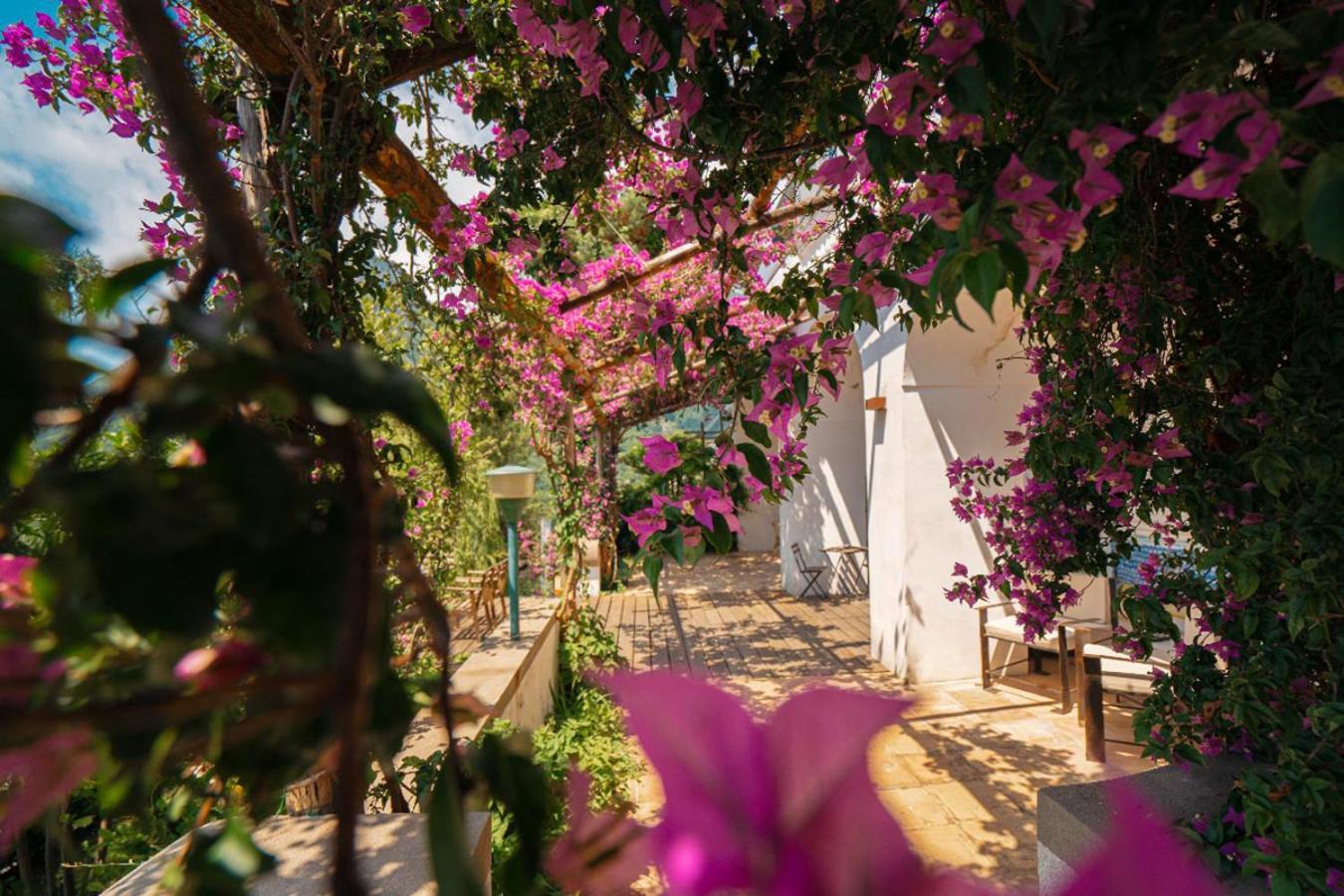 Bed and Breakfast Casa Flora Vietri Exterior foto